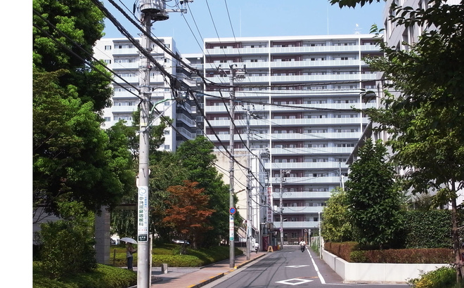 bchib-08.jpg