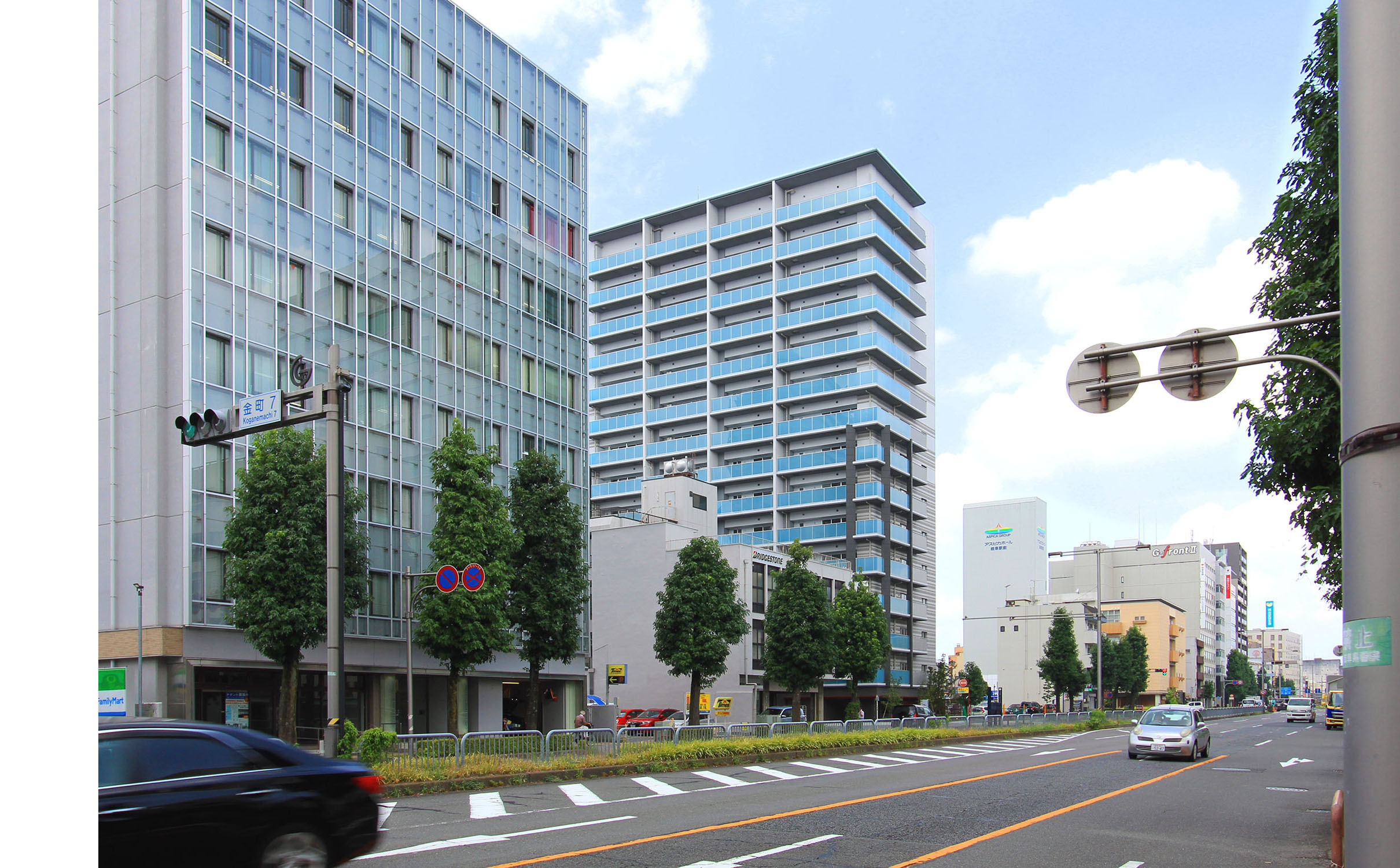 tpg-04.jpg